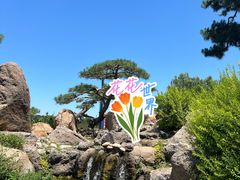 -罗红摄影艺术馆