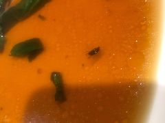 -粗茶淡饭•陕菜•家常菜