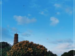 -红花山公园