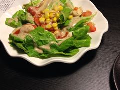 蔬菜沙拉-日本料理神拉面