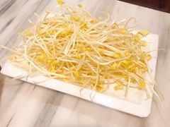 豆芽-谢云贵清香水煮鸡(总店)