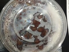 -美芝莲(领展购物广场中关村店)