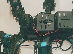 -乐博乐博少儿编程·AI机器人编程·信息学竞赛(桃园校区)