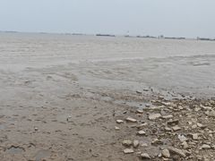 -吴淞炮台湾湿地森林公园烧烤区