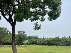 -上海滨江森林公园