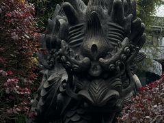 -杭州植物园