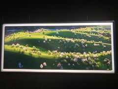 -罗红摄影艺术馆