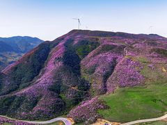 -乌蒙大草原