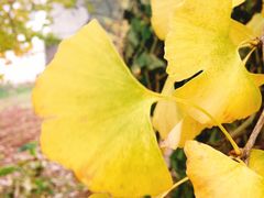 -金堂县云顶石城风景区