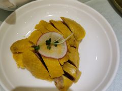 白切鸡-骏莱海鲜鱼港(五角场店)