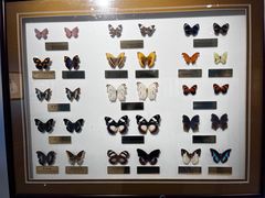 -上海昆虫博物馆