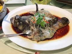 清蒸青斑鱼-陆壹捌餐厅(五大道店)
