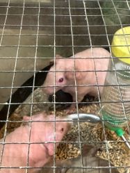 -酷嗒动物文化乐园(cutezoo西溪乐天城店)