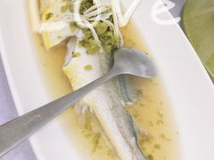 大黄鱼-宝燕壹号(徐汇店)