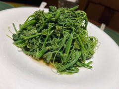 清炒丝瓜尖-那家小馆•北京菜•烤鸭(香山店)