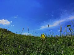 -白草畔自然风景区
