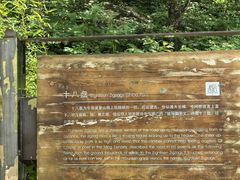 -牛背梁国家森林公园