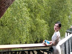 -东寨港红树林旅游区