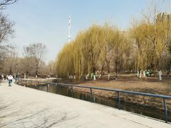 -长白岛森林公园