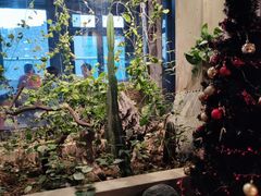 -漪龙台·B26 Rooftop Lounge