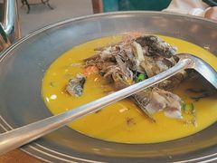 -饭怕鱼(阳光100店)