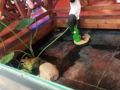 -荣食方(兴华路店)