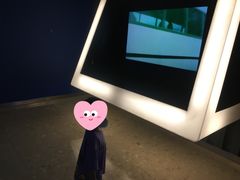 -龙阳路磁悬浮列车总站-停车场