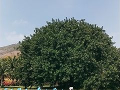 -三亚南山文化旅游区