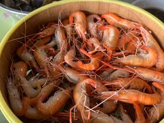 -东胜客河鲜店·西江河鲜·老字號渔家菜