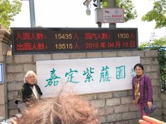 -嘉定紫藤园