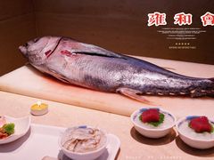 蓝鳍金枪鱼-雍和会海鲜姿造自助(湖东路店)