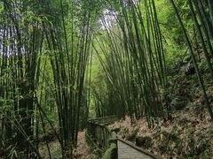 -沐川竹海旅游景区