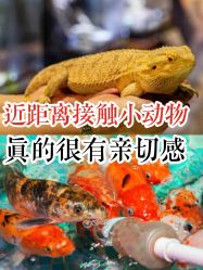 -酷嗒动物文化乐园(cutezoo西溪乐天城店)