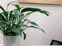 -Banana本娜娜·按摩养生SPA(上海湾店)