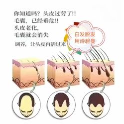 -诗碧曼养发