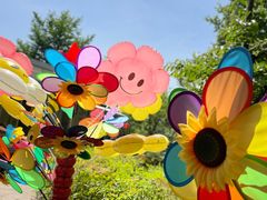 -上海共青森林公园