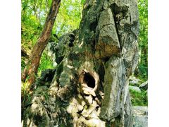 -零陵古城