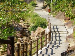 -广州白江湖森林公园