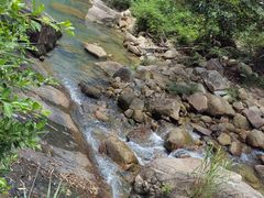 -广州白江湖森林公园