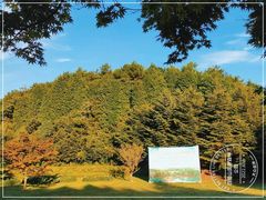 -四明山国家森林公园