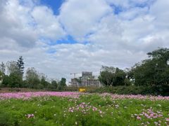 -春花秋色城市公园