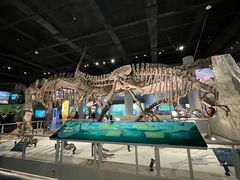 -国家自然博物馆