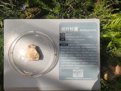 -国家植物园南园