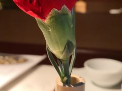 -初蓉丨遇见新川菜(亲贤街荣耀店)