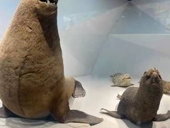 -青岛海底世界-水族馆