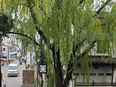 -鱼食饭稻·苏浙土菜17年老馆子(平江路店)