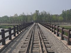 -西青郊野公园