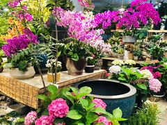 -双季花艺园艺市场(浦东店)