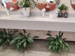 -壹加壹医疗美容·轻医美·美容外科