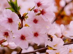 -龙美术馆(西岸馆)
